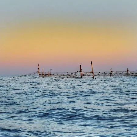 Niko Sea *