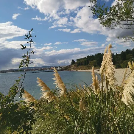 Niko Sea * Nesebar